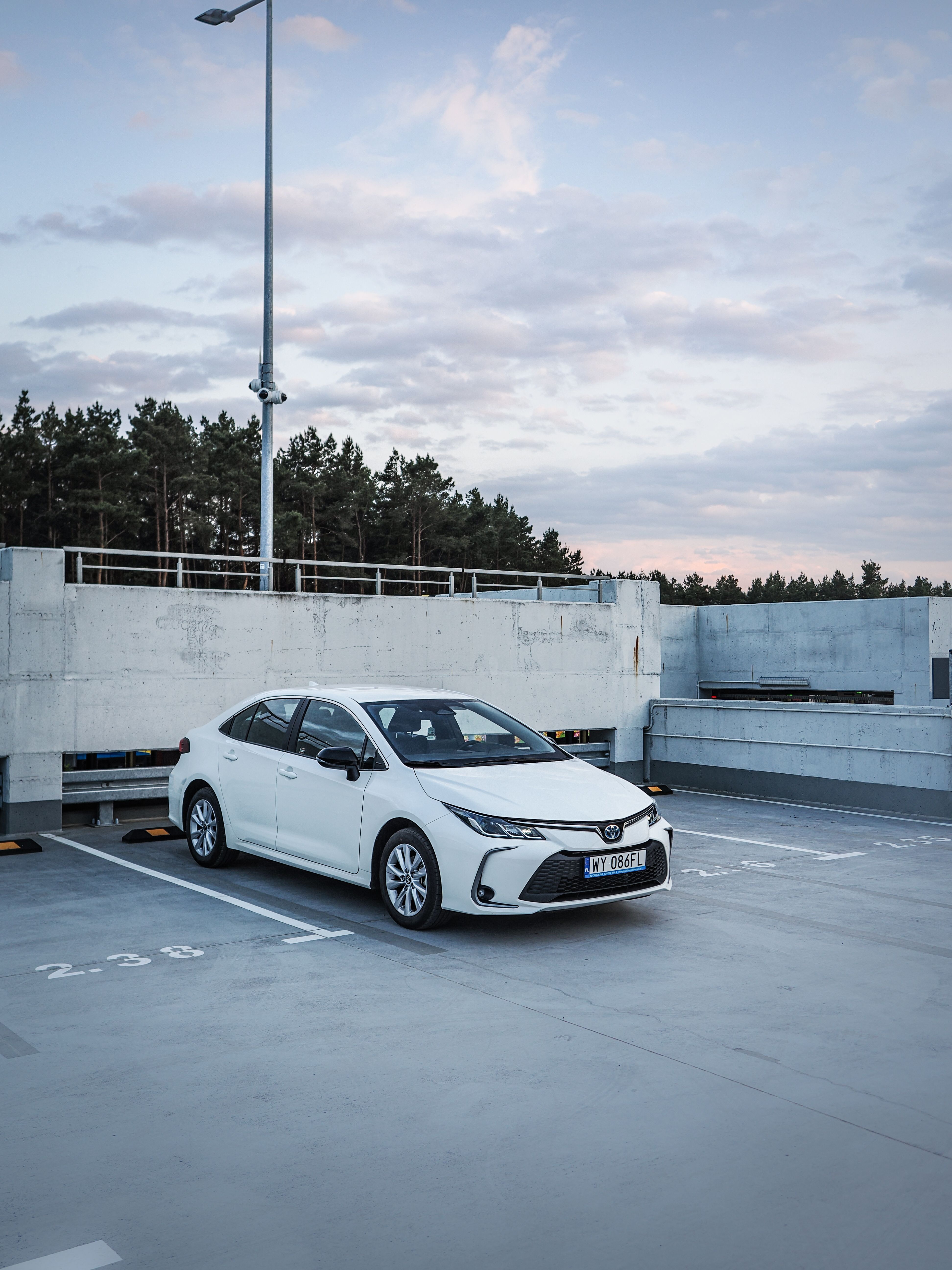 Toyota Corolla tył